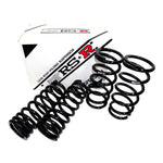 RSR Down SUS Lowering Springs S001D for CAPPUCCINO EA21R