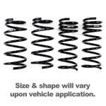 RSR Down SUS Lowering Springs S616W for SOLIO MA15S