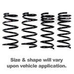 RS-R Down SUS Lowering Springs for LANDCRUISER 80 HDJ81V 92/8-94/12 1HD-T T210D