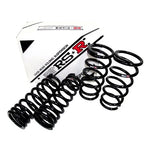 RS-R Down SUS Lowering Springs for LANDCRUISER 80 HDJ81V 92/8-94/12 1HD-T T210D