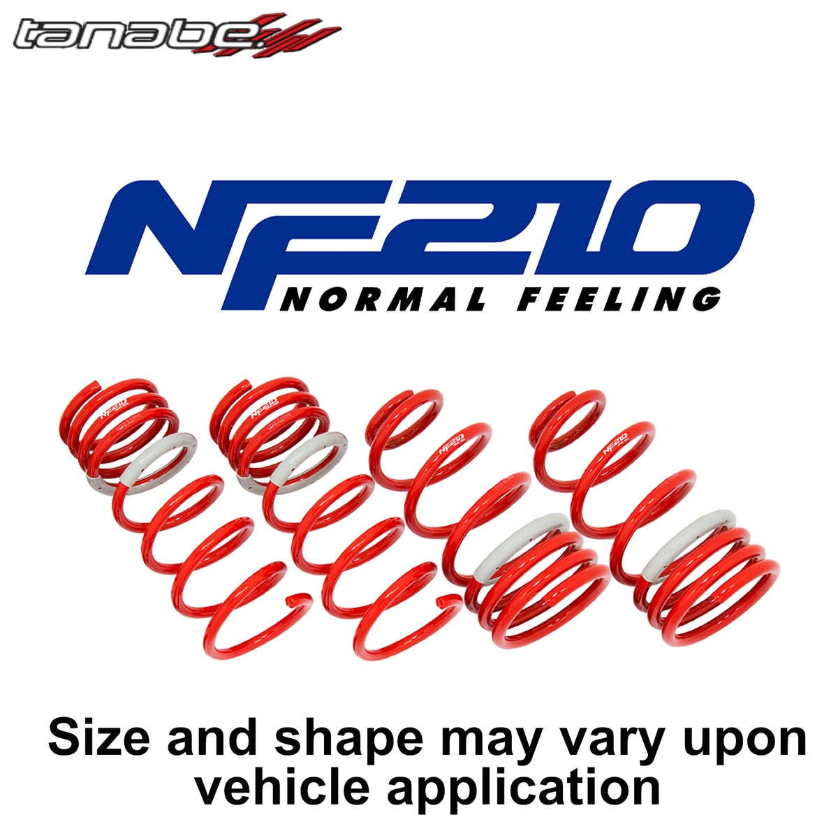 TANABE SUSTEC NF210 Lowering Springs A210ANK for ROCKY A210S